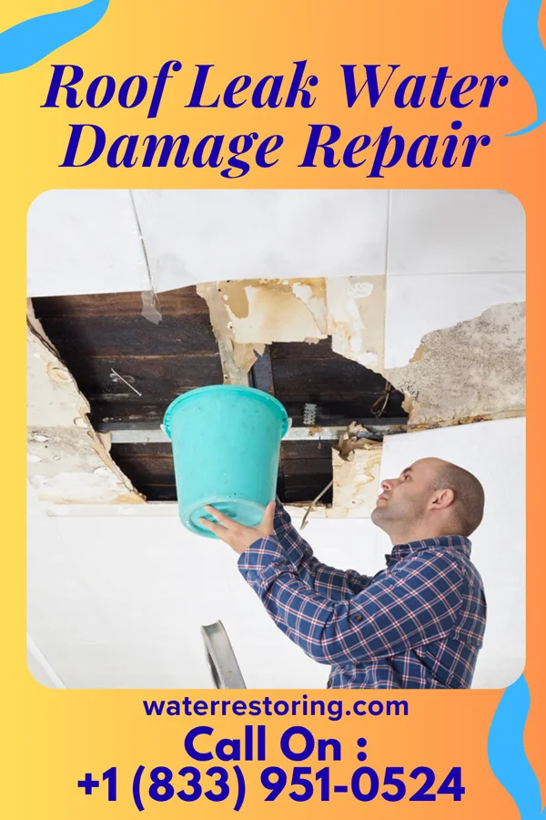Roof Leak Water Damage Repair in Hopewell, IL